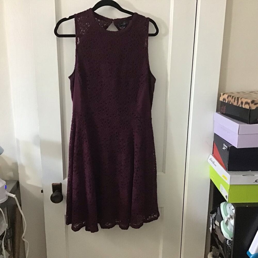 The Limited WIne Lace sleeveless Mini Dress 14